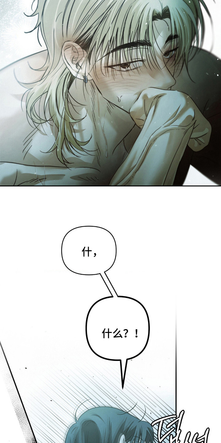 暗礁险滩代表什么生肖漫画,第12章：慌张3图