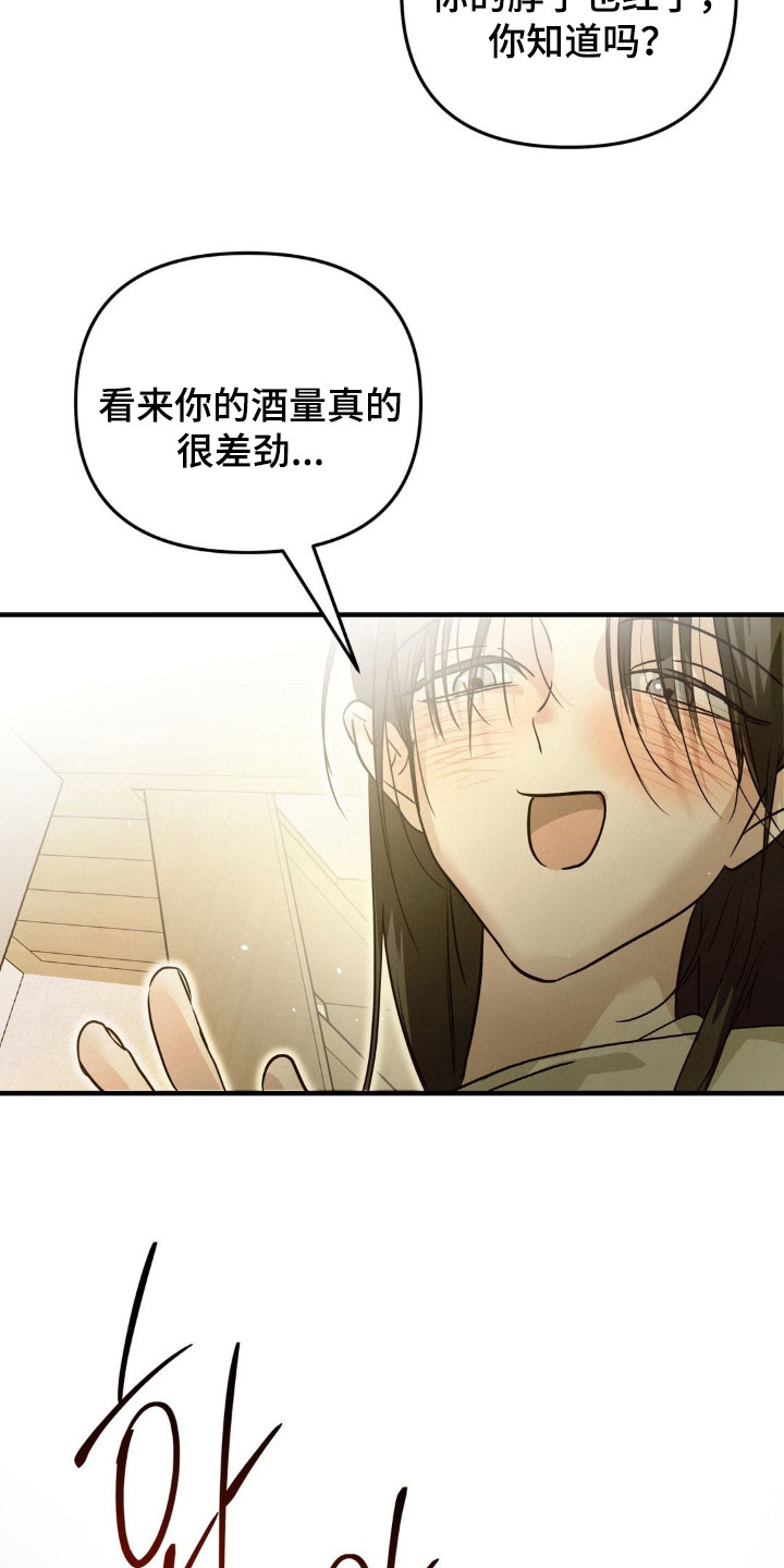 暗礁德鲁伊漫画,第9章： 酒量很差4图