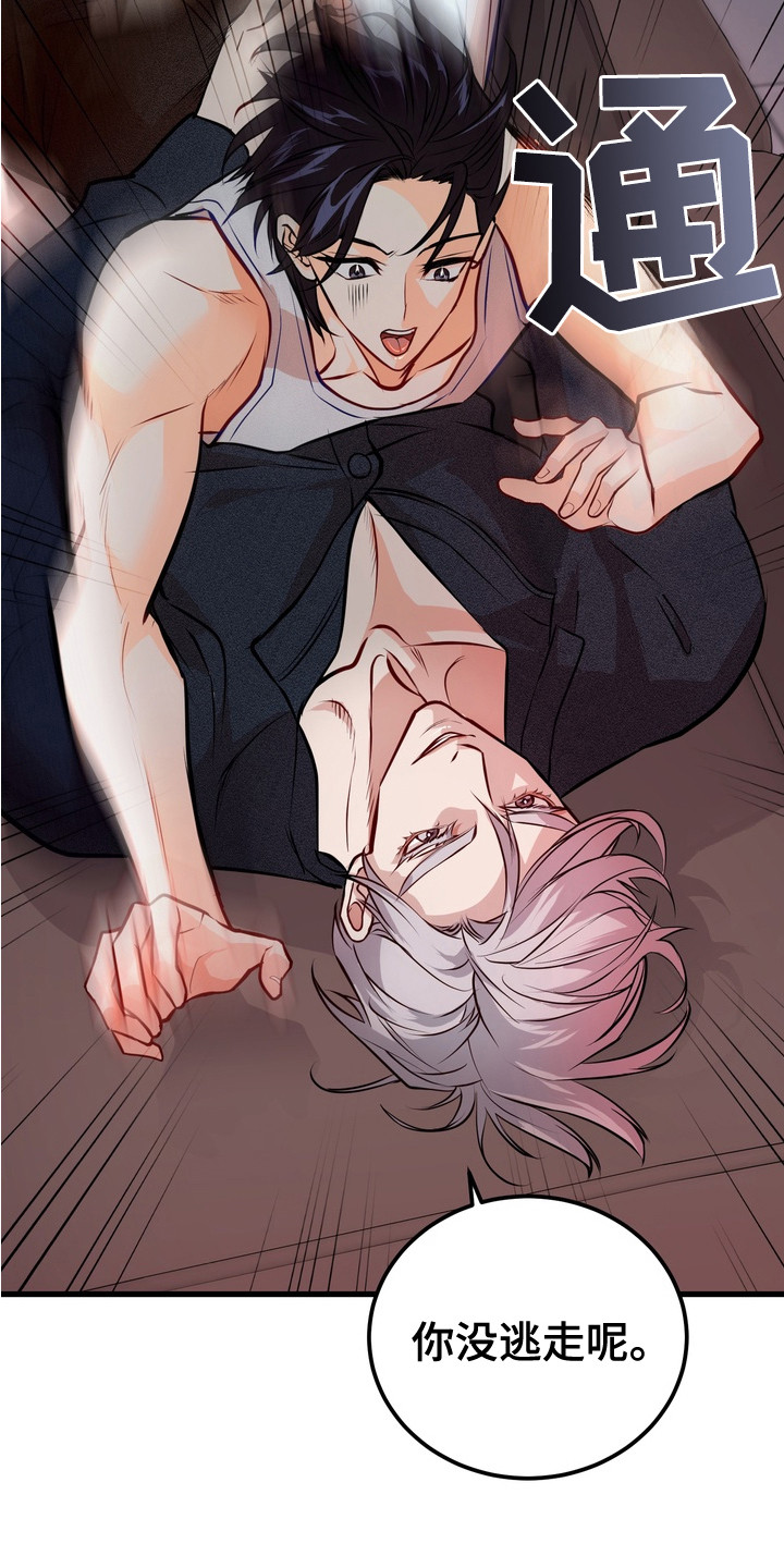 霸道入梦漫画在线观看免费漫画,第13章：双重人格2图