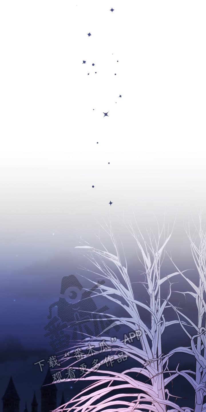 披风下的誓言漫画,第6章：可疑1图