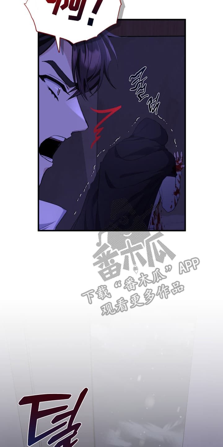 披风下的誓言漫画,第9章：你们在说什么4图