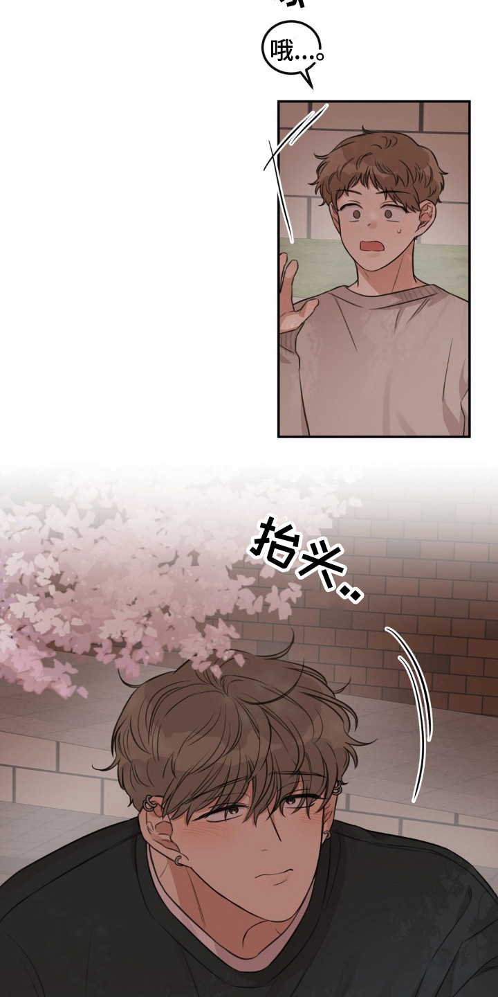 饲养法则晓暴全本TXT笔趣阁漫画,第7章：固执5图