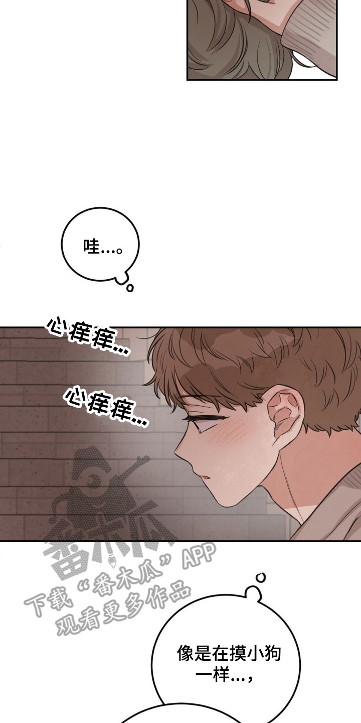 饲养法则晓暴全本TXT笔趣阁漫画,第7章：固执3图