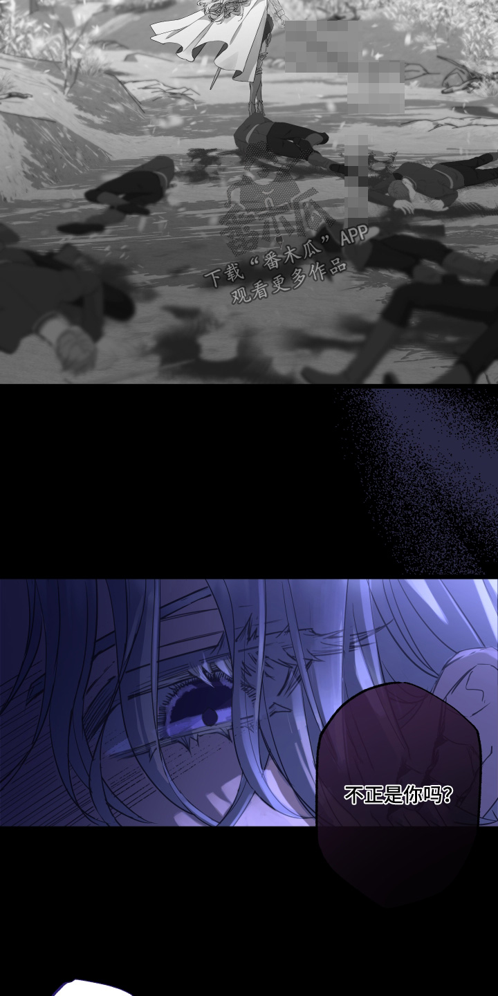 披风下的誓言漫画,第13章：证明给我看4图