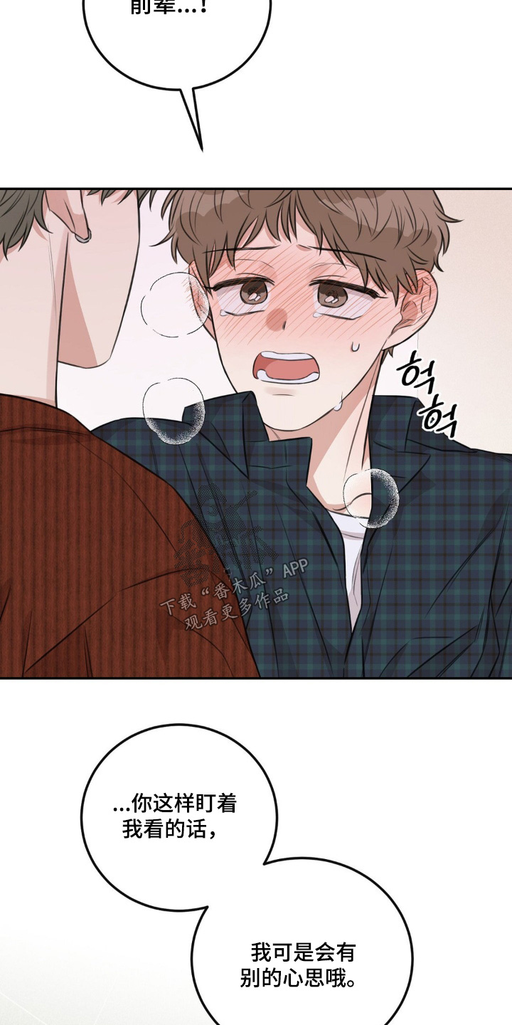 饲养法则漫画,第15章：住手1图