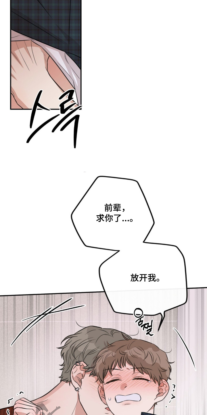 饲养法则漫画,第15章：住手3图