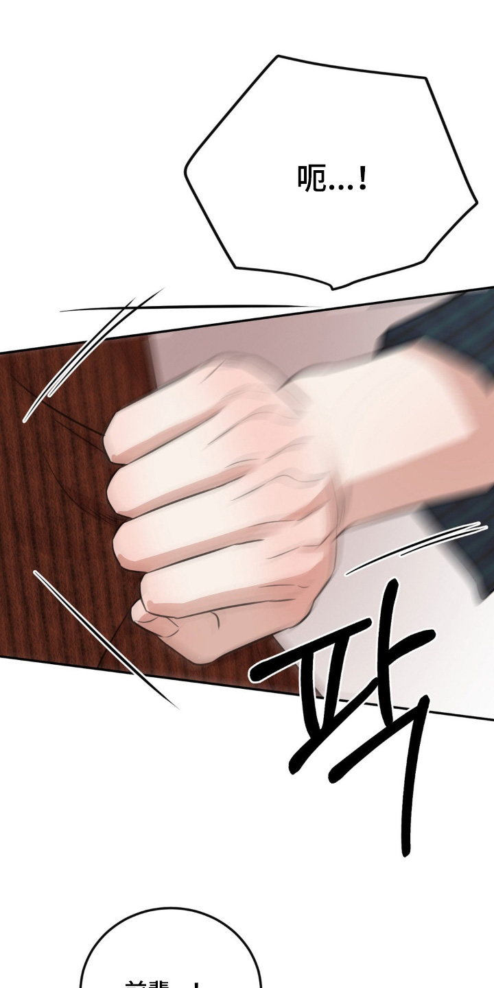 饲养法则漫画,第15章：住手5图