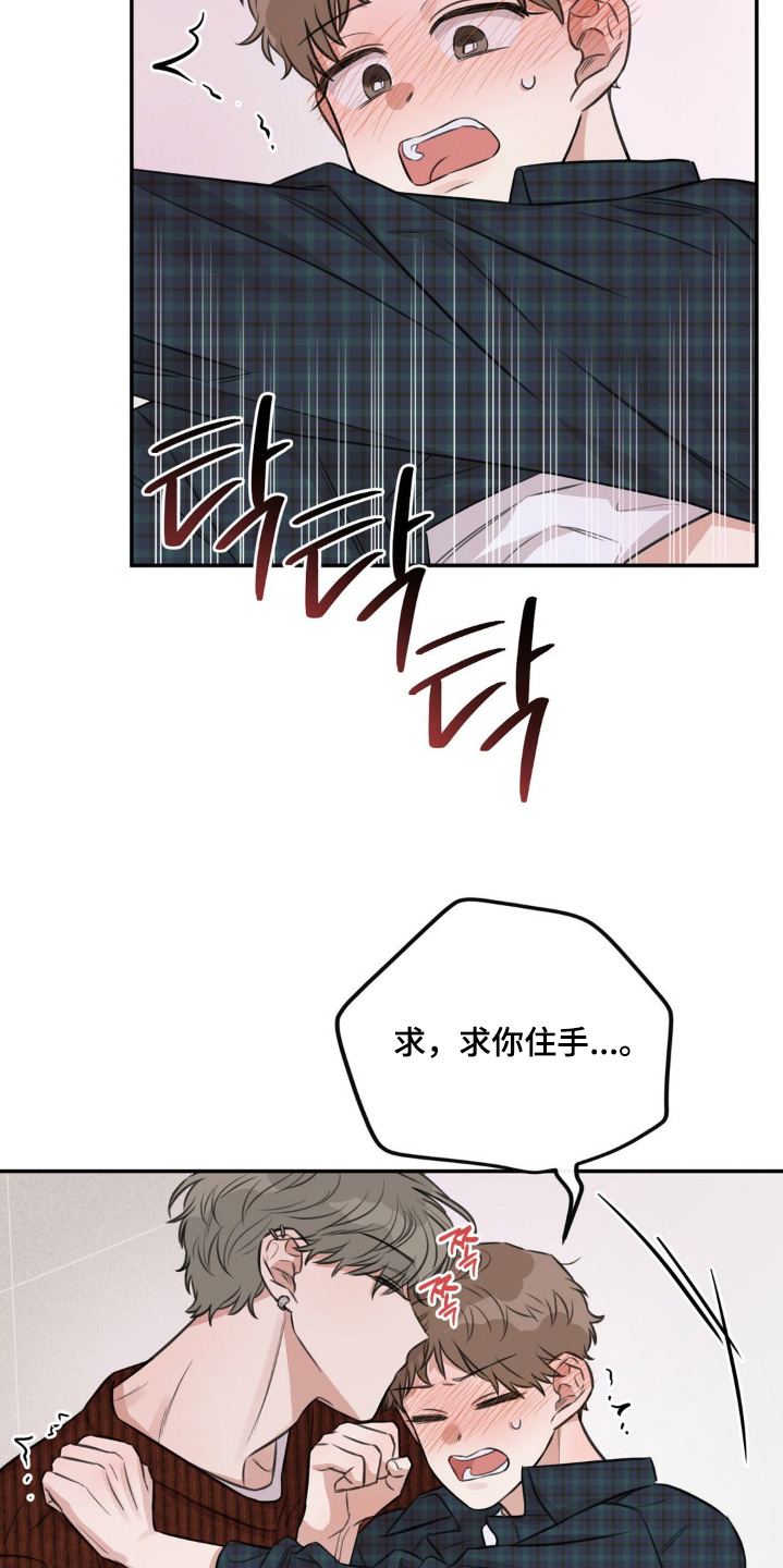 饲养法则漫画,第15章：住手3图