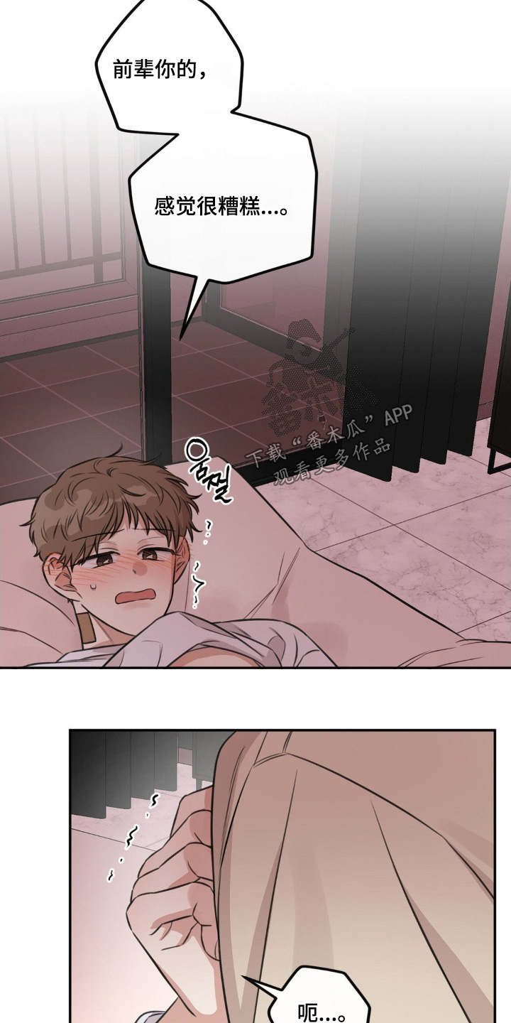 饲养法则漫画,第19章：回家吧1图