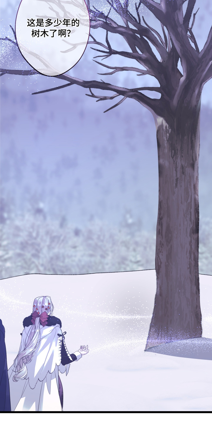 披风下的誓言漫画,第16章：解除魔法5图