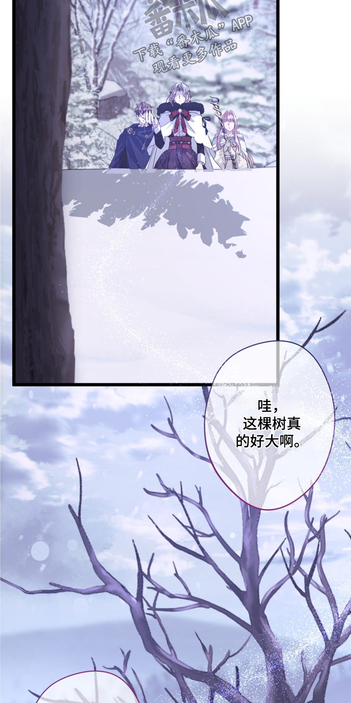 披风下的誓言漫画,第16章：解除魔法4图