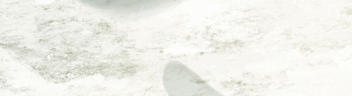 绯瞳君尚图片漫画,第37章：花香4图