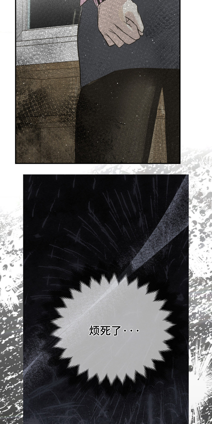 暗礁鱿鱼常见种类漫画,第51章：真是烦死了3图