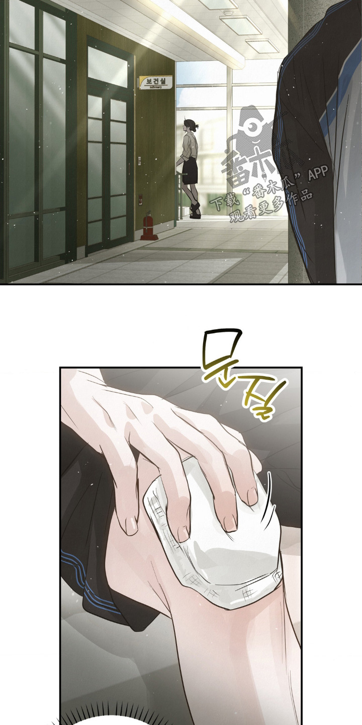 暗礁秘语漫画,第49章：受伤了3图