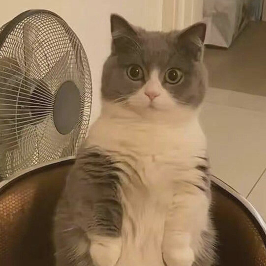 用户头像