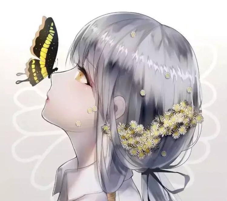 用户头像