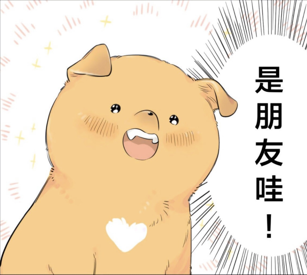 用户头像