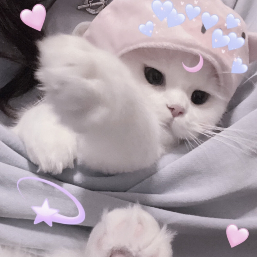 用户头像