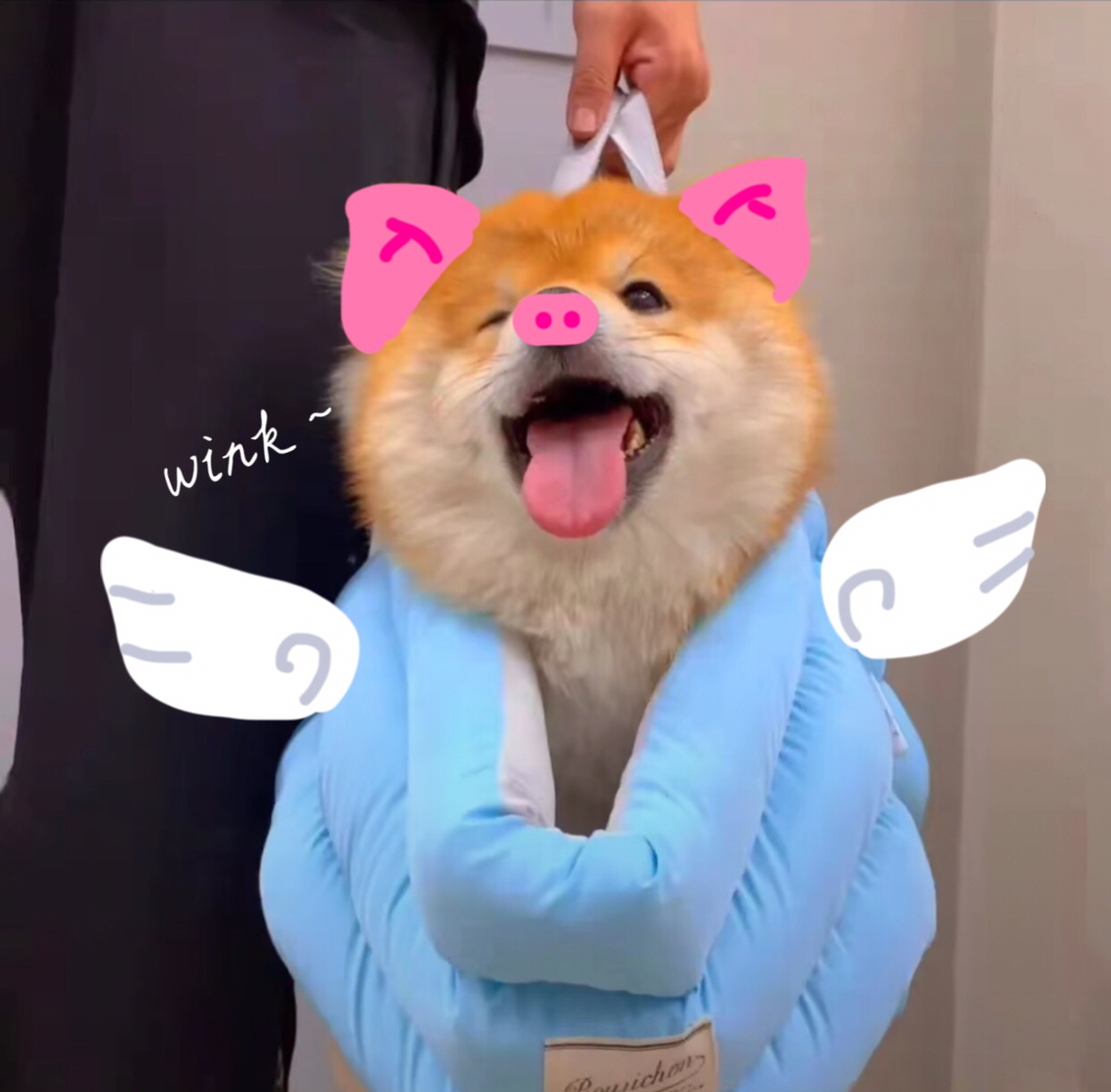 用户头像