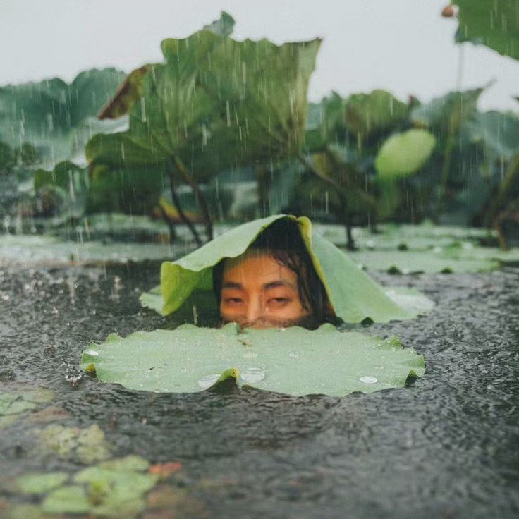 用户头像