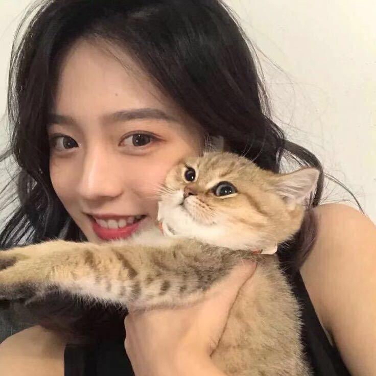 用户头像