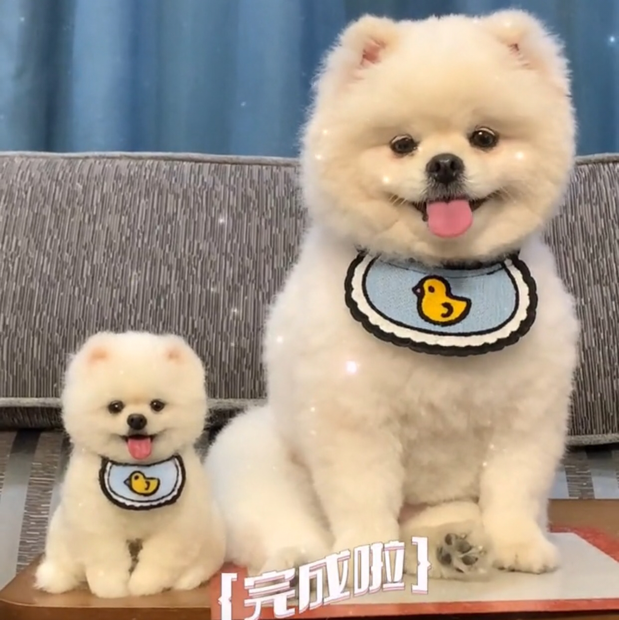 用户头像