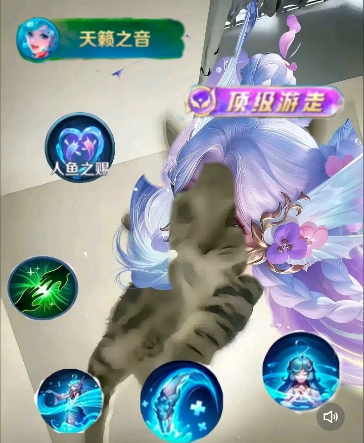 用户头像